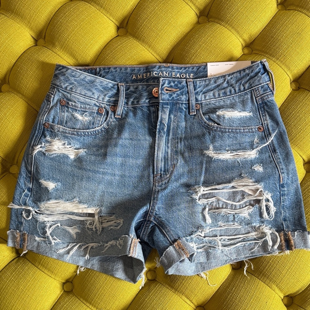 American Eagle Outfitters Women's Ripped Blue Jean Shorts